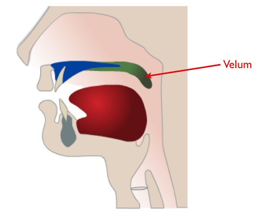 velamm
