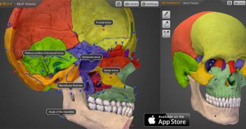 iPad App: Skull Anatomy App for Free today