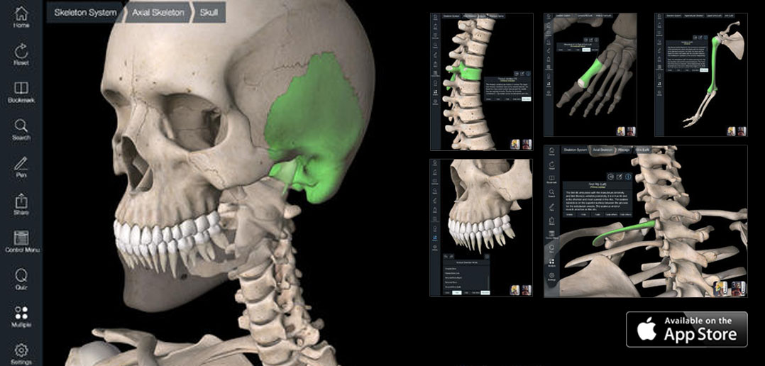can you take pictures in essential anatomy 3 can you take pictures in essential anatomy 3