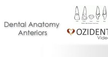 Video: Dental Anatomy – Permanent Anterior Teeth