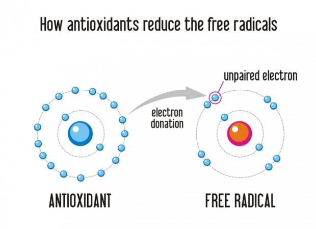 antioxidants-ozident